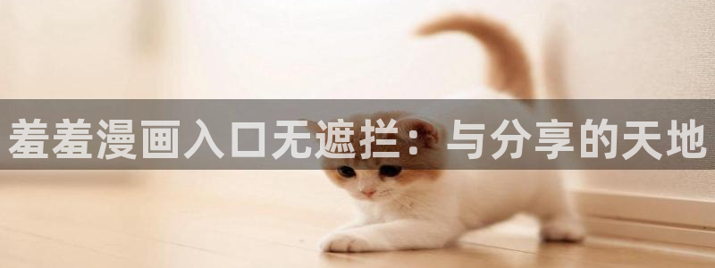 age漫画网：羞羞漫画入口无遮拦：与分享的天地