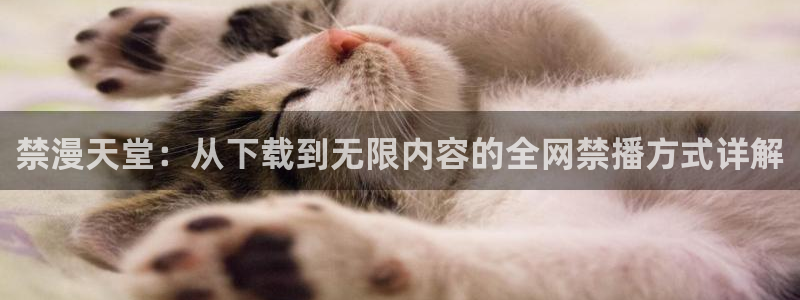 腐漫画网网下载：禁漫天堂：从下载到无限内容的全网禁播方式详解