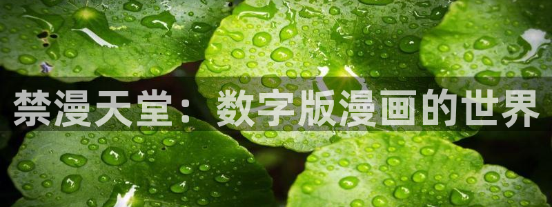 腐漫画网下载动漫全免费：禁漫天堂：数字版漫画的世界