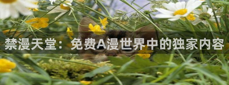 下载腐漫画网：禁漫天堂：免费A漫世界中的独家内容
