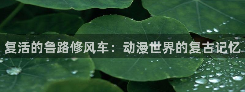 腐漫画网网下载：复活的鲁路修风车：动漫世界的复古记忆