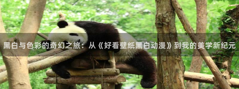腐漫画网网官网入口：黑白与色彩的奇幻之旅：从《好看壁纸黑白动漫》到我的美学新纪元